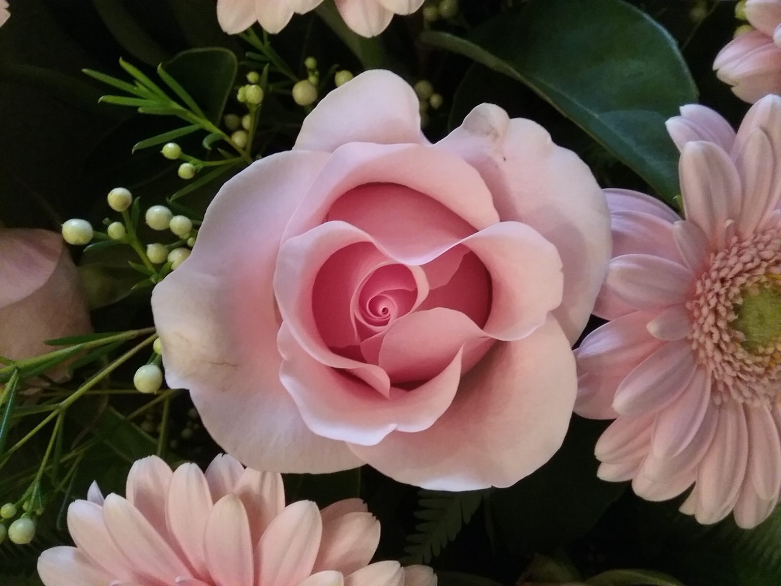 20150707_165747[1] Bliss Flowers