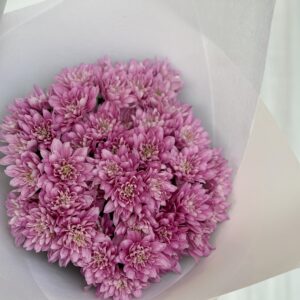 Bunch of Chrysanthemums!