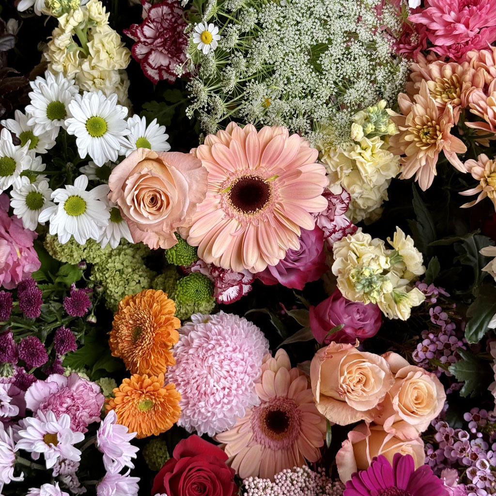 Fresh floral arrangements in a variety of colours at She Bloomed florist