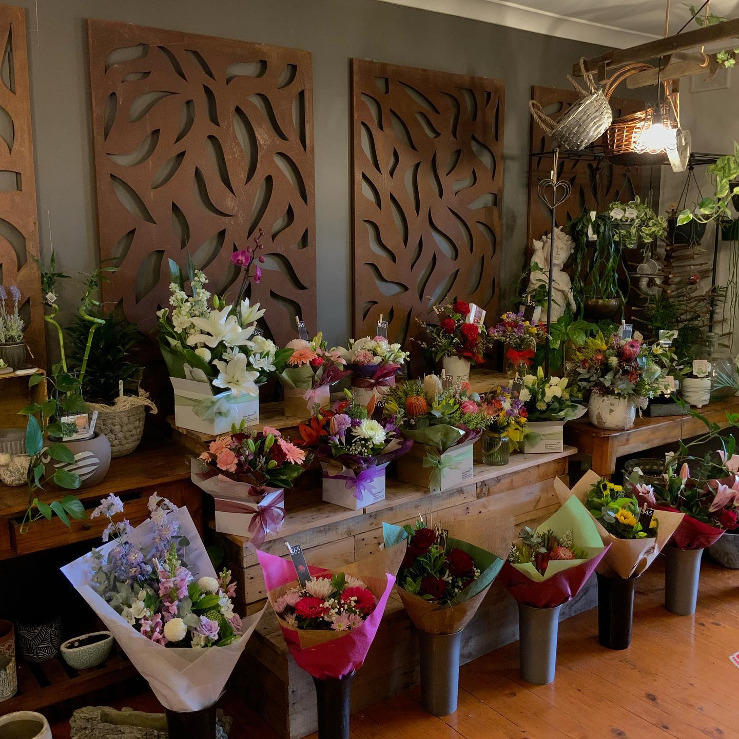Flower displays and indoor plants at She Bloomed florist in O'Halloran Hill, Adelaide